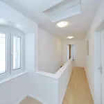 Lovely In With Wifi Brbinj